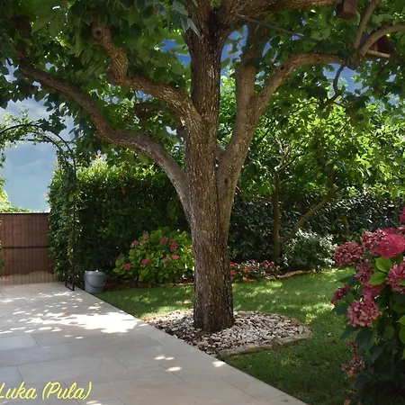 Апартаменти Modern And Elegant In A Quiet Part Of