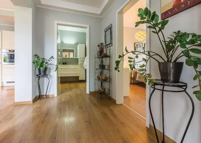 Apartment Modern And Elegant In A Quiet Part Of